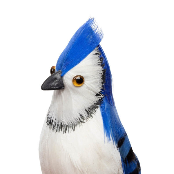 Artificial Bird, Blue Jay