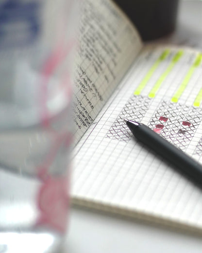 "Library of Studio Mise" A5 + Pocket Notebook (2pk)